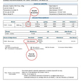 Creatina Monohidratada 100% Pura - 150 Cápsulas